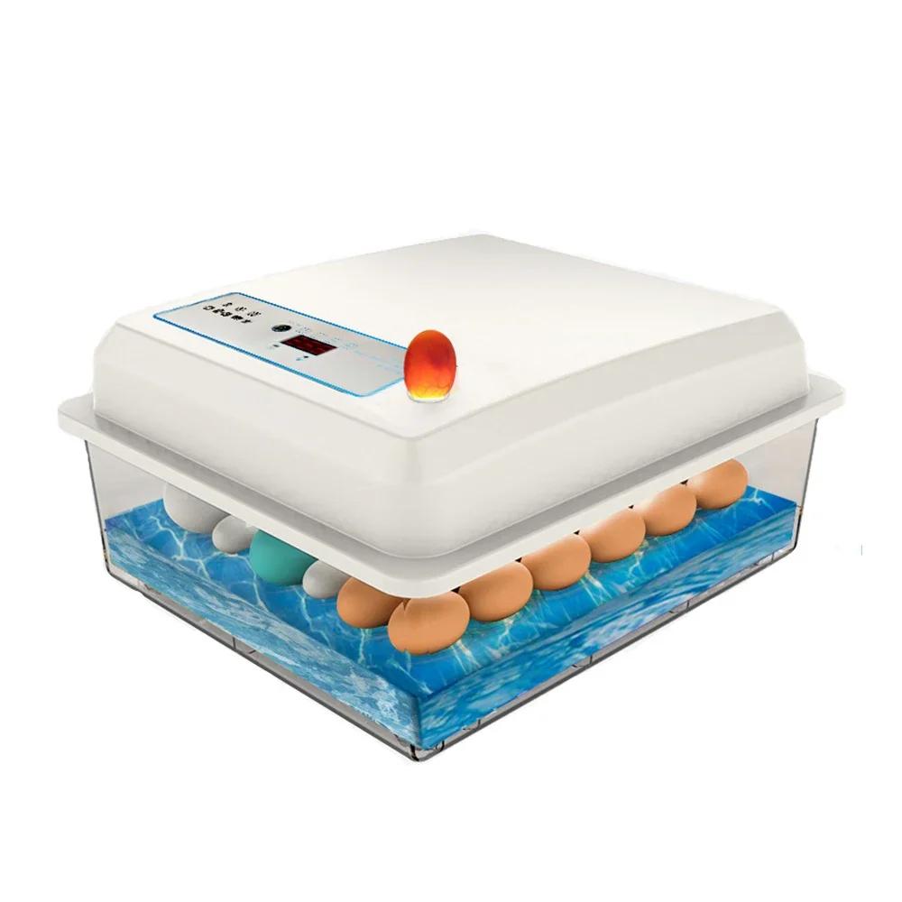 Ensemble d'incubateur de 20 œufs, couveuse domestique entièrement automatique, ferme de poulet, d'oi