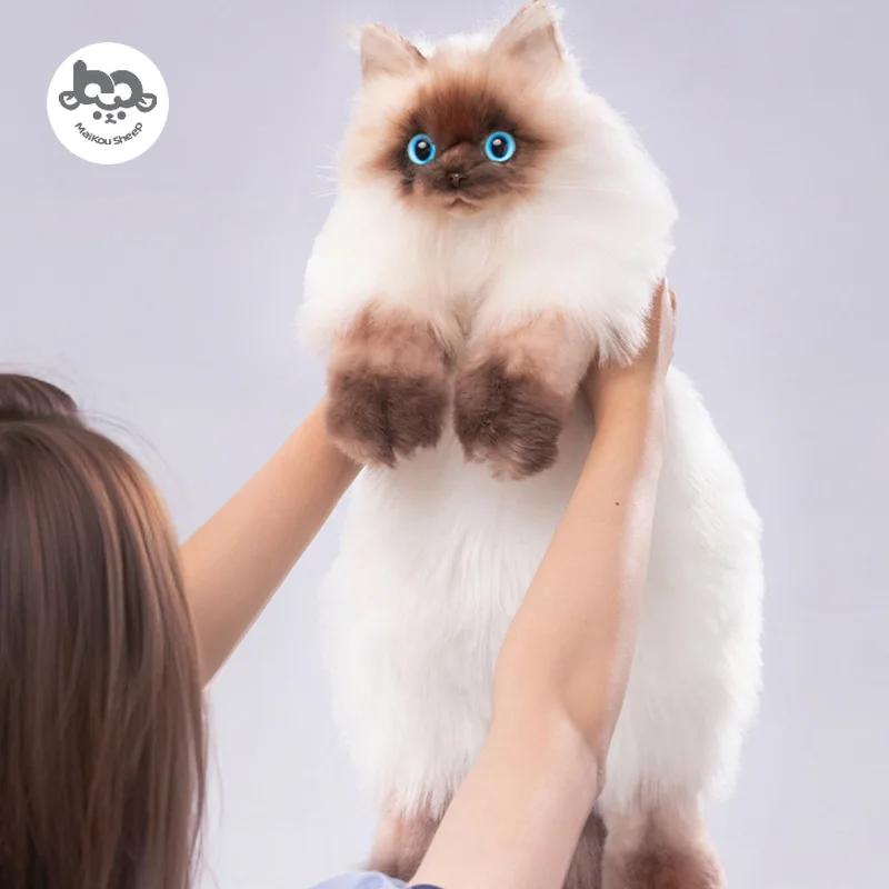  Sac à dos Simulation chat siamois, sac à dos pour filles, poupée en peluche, amie, petite amie,