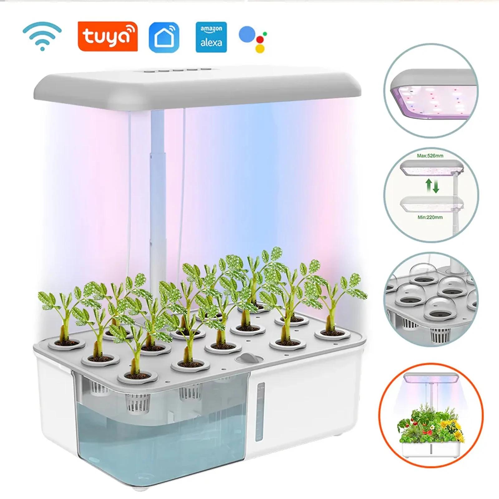 Tuya WiFi plante système hydroponique croissance lumière LED sans sol Machine de plantation intellig