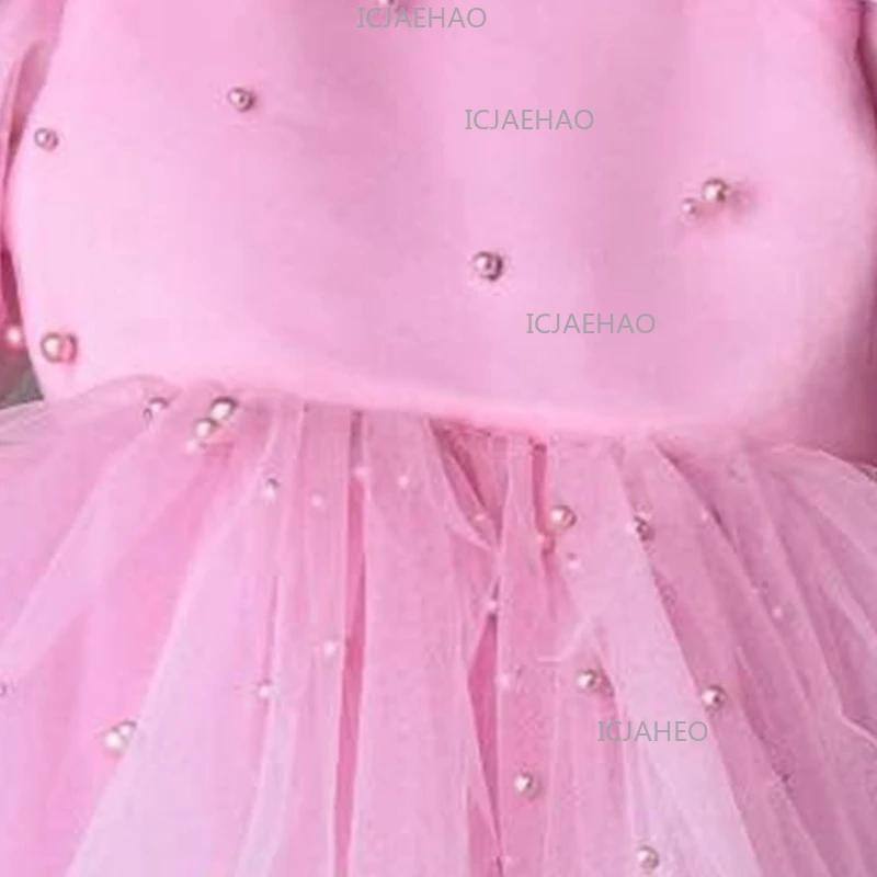 Robe de Princesse pour Filles 2026, Mignonne et Élégante, à Manches Longues en Tulle, Vêtement pour