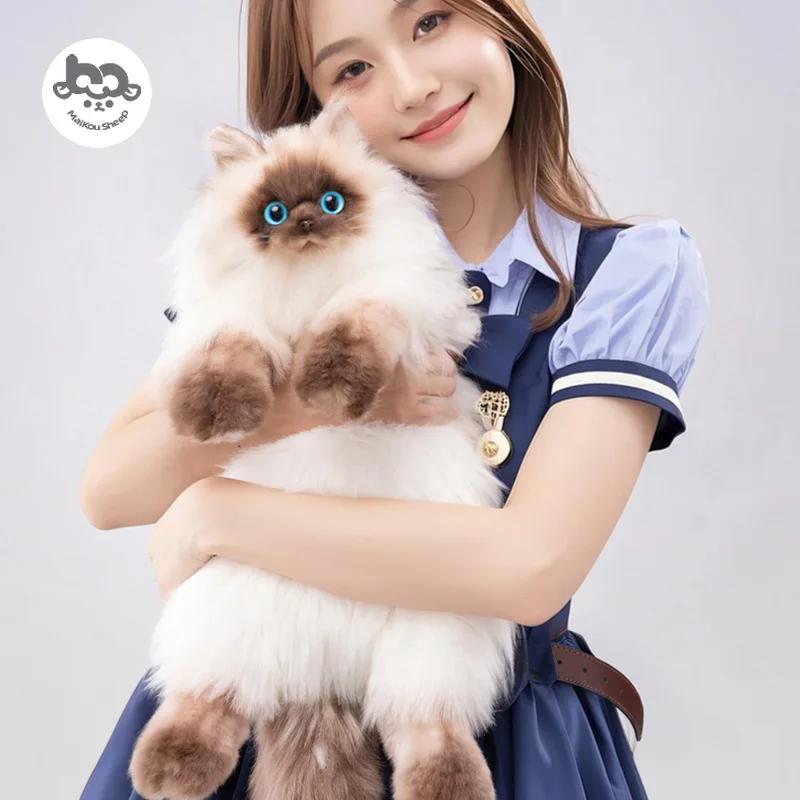  Sac à dos Simulation chat siamois, sac à dos pour filles, poupée en peluche, amie, petite amie,