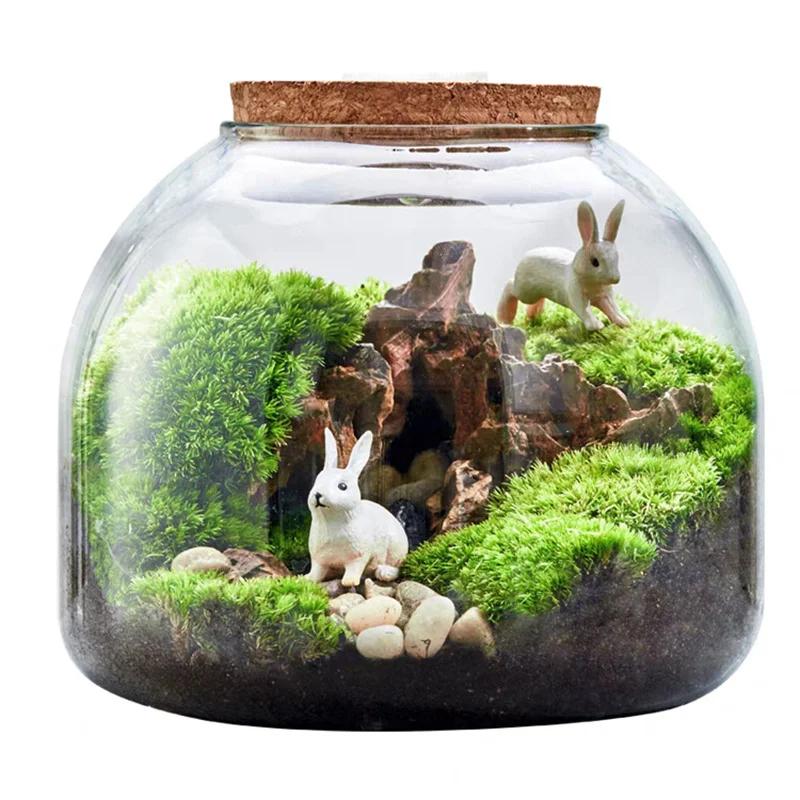 Micro paysage mousse Bryophyte Vase en verre avec liège vert frais mousse bouteille Terrarium en ver
