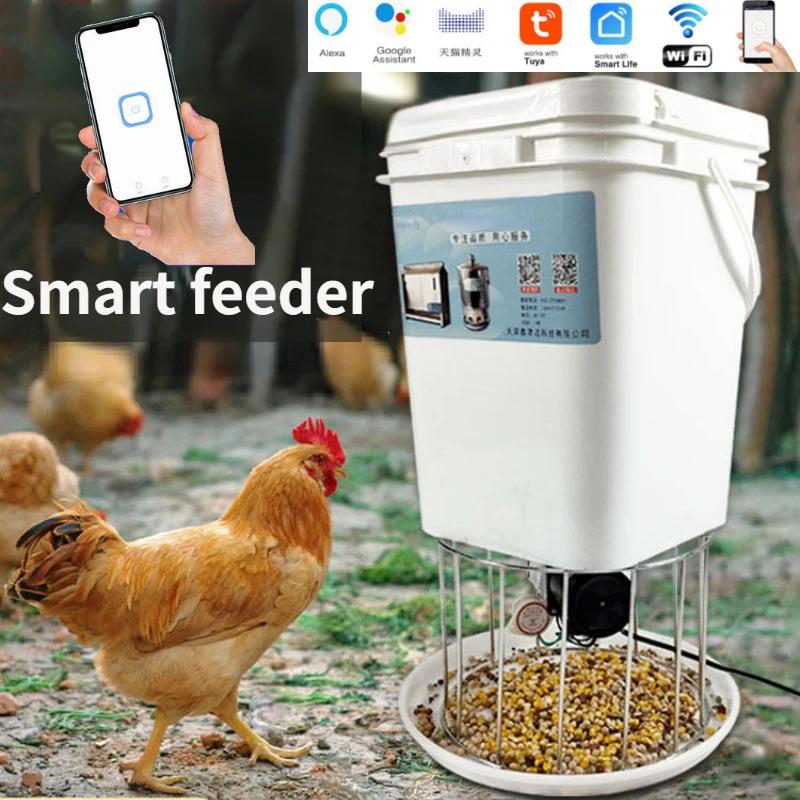 Mangeoire automatique pour poulets, support pour pigeons, canards, mangeoire pour pigeons, synchroni