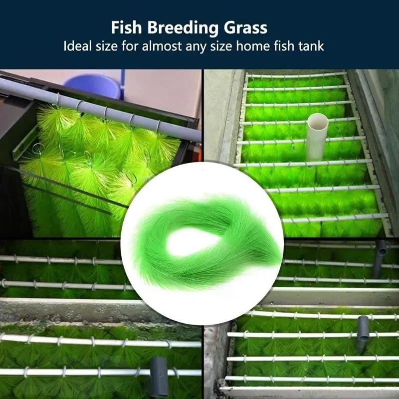 Filtre d'Étang à Poissons Koi, Brosse d'Éclosion, 60/100cm, Incubateur Biochimique pour Poisson Roug