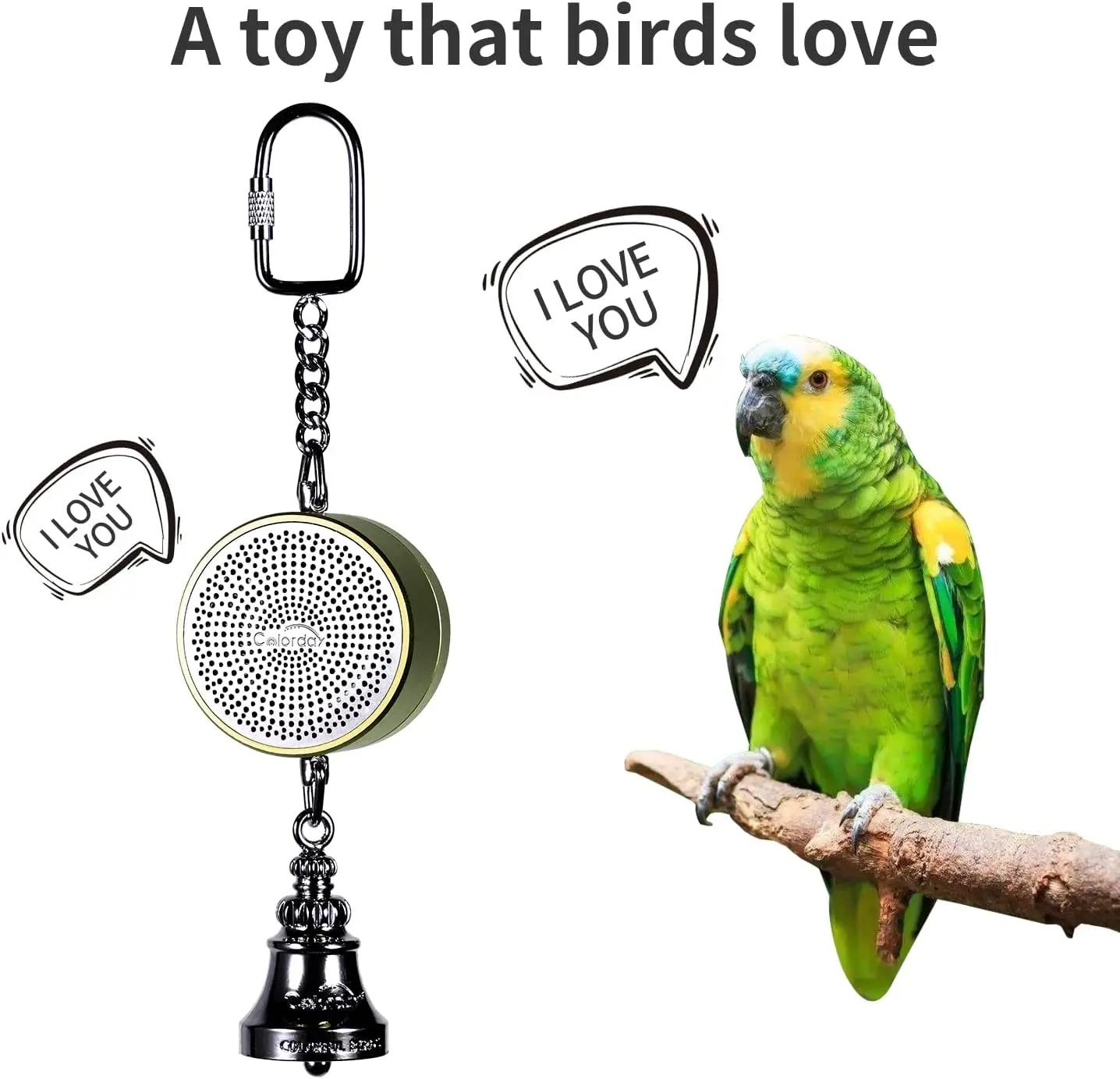 Jouets de perroquet pour fuchsia, oiseau d'entraînement, roi prudent, avantages, lecture statique in