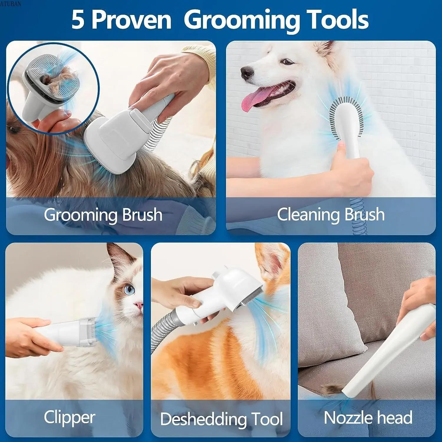 Aspirateur de toilettage pour chiens et Kit de toilettage pour animaux de compagnie avec capacité de