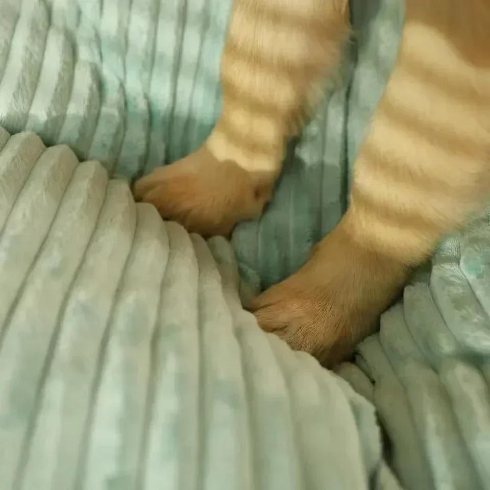 Grand tapis en velours côtelé pour chiens de taille moyenne et grande, lit de couchage surdimensionn