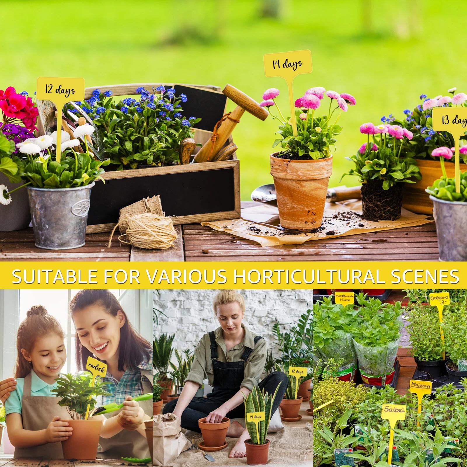 Étiquettes de plantes de jardin en plastique, étanches, de Type T, réutilisables, avec nom de plante