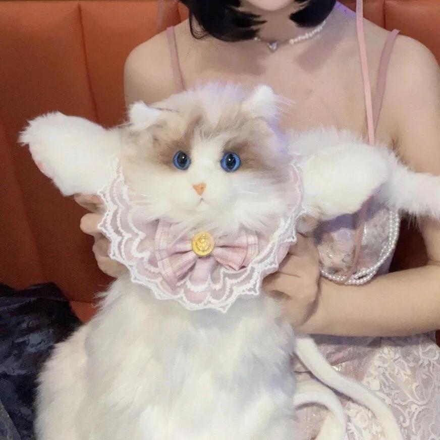 Sac à dos chat en peluche pour garçons filles enfants cartable mignon dessin animé sacs d'école mate