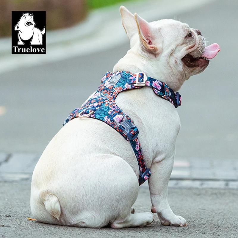 Truelove harnais pour chien nouveau