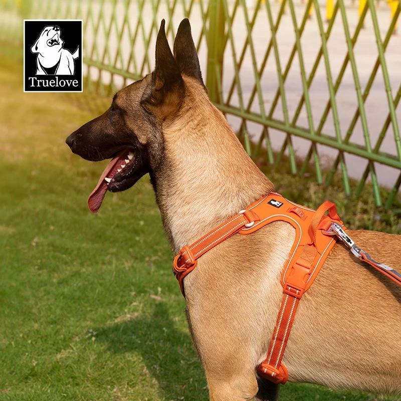 TRUE LOVE harnais pour animaux de compagnie sans traction en Nylon réfléchissant