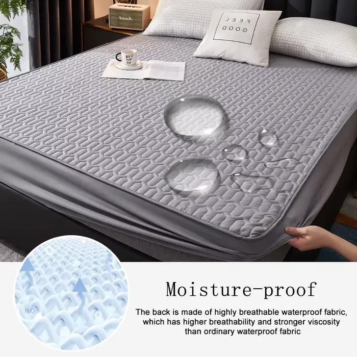 Housse de matelas épaisse et imperméable, tapis matelassé en Latex, couvre-lit, drap-housse de prote