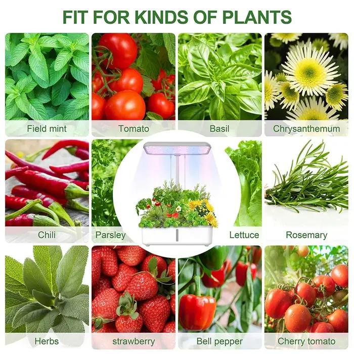 Tuya WiFi plante système hydroponique croissance lumière LED sans sol Machine de plantation intellig