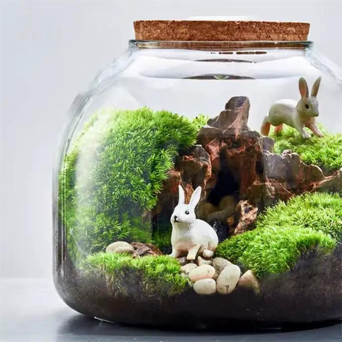 Micro paysage mousse Bryophyte Vase en verre avec liège vert frais mousse bouteille Terrarium en ver