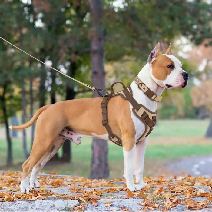 Nouveau Harnais pour chien de luxe couleur chocolat sans traction pour grands petits chiens sangle d