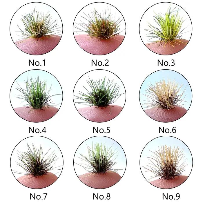 Micro grappe d'herbe Miniature, modèle de scène de sable, matériel de bricolage, touffe d'herbe réal