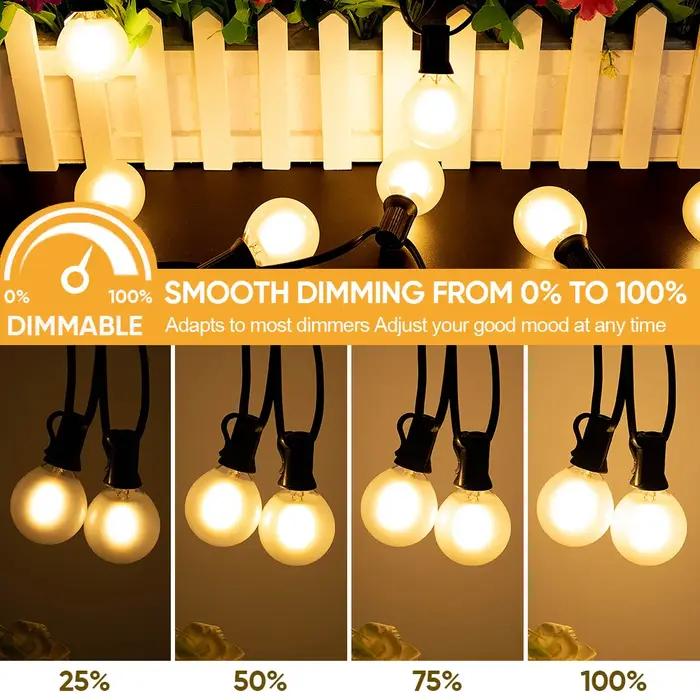 Guirlande lumineuse LED d'extérieur E12, ampoule globe givrée G40, blanc chaud, pour jardin, mariage