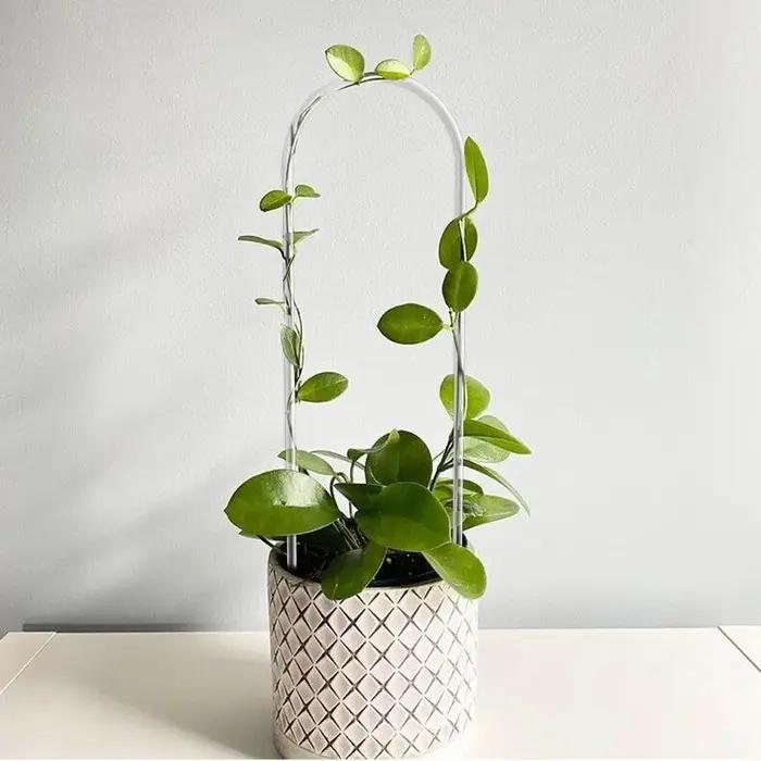 Cadre d'escalade pour plantes en acrylique transparent en forme de U, structure de support spécialem