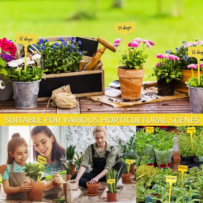 Étiquettes de plantes de jardin en plastique, étanches, de Type T, réutilisables, avec nom de plante
