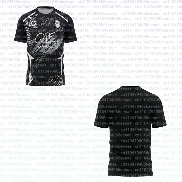 2025 QLF Mailot été nouvelle mode pour hommesChemise respirant femmes 3D T-shirt Sports de plein air