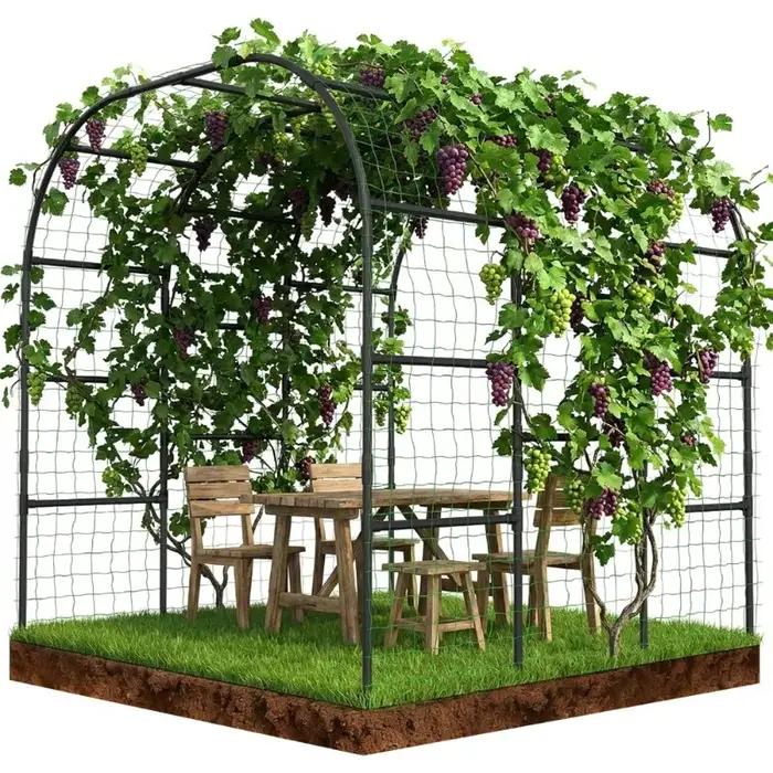 Arche de jardin pour plantes grimpantes, livraison aux États-Unis, structure métallique, grande arch