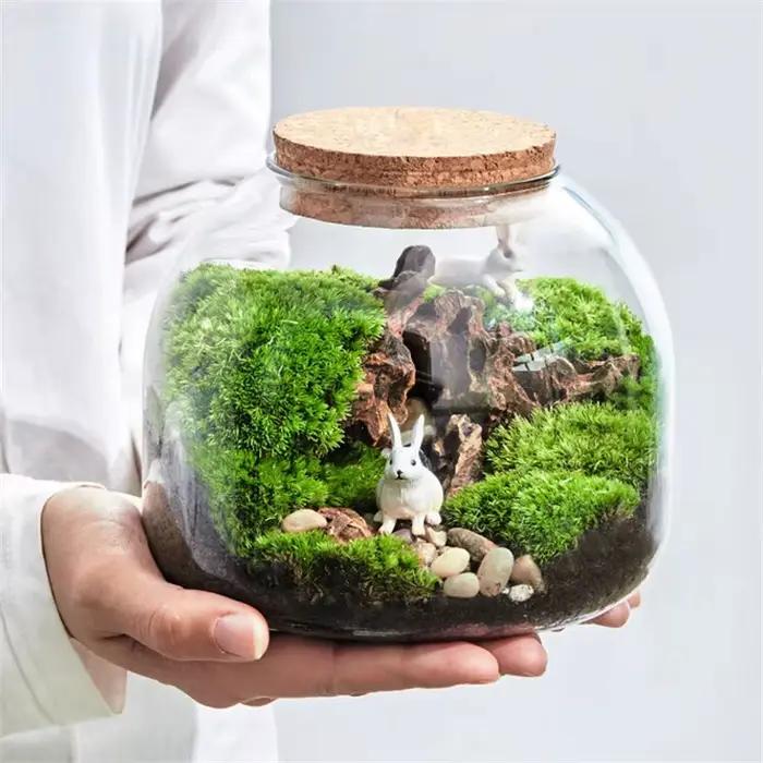 Micro paysage mousse Bryophyte Vase en verre avec liège vert frais mousse bouteille Terrarium en ver